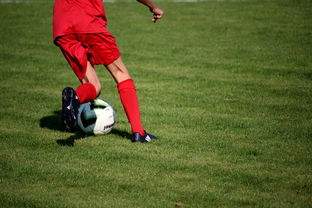 开云体育官方-冬奥场馆智能系统协助运动员热身训练，冬奥会设备