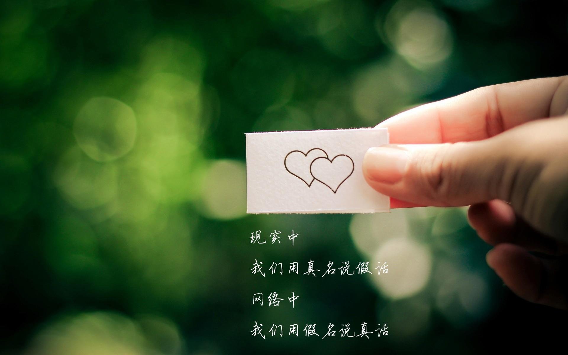 加拿大队赛制评析:赛制中的战术灵活性与团队执行力,加拿大队员