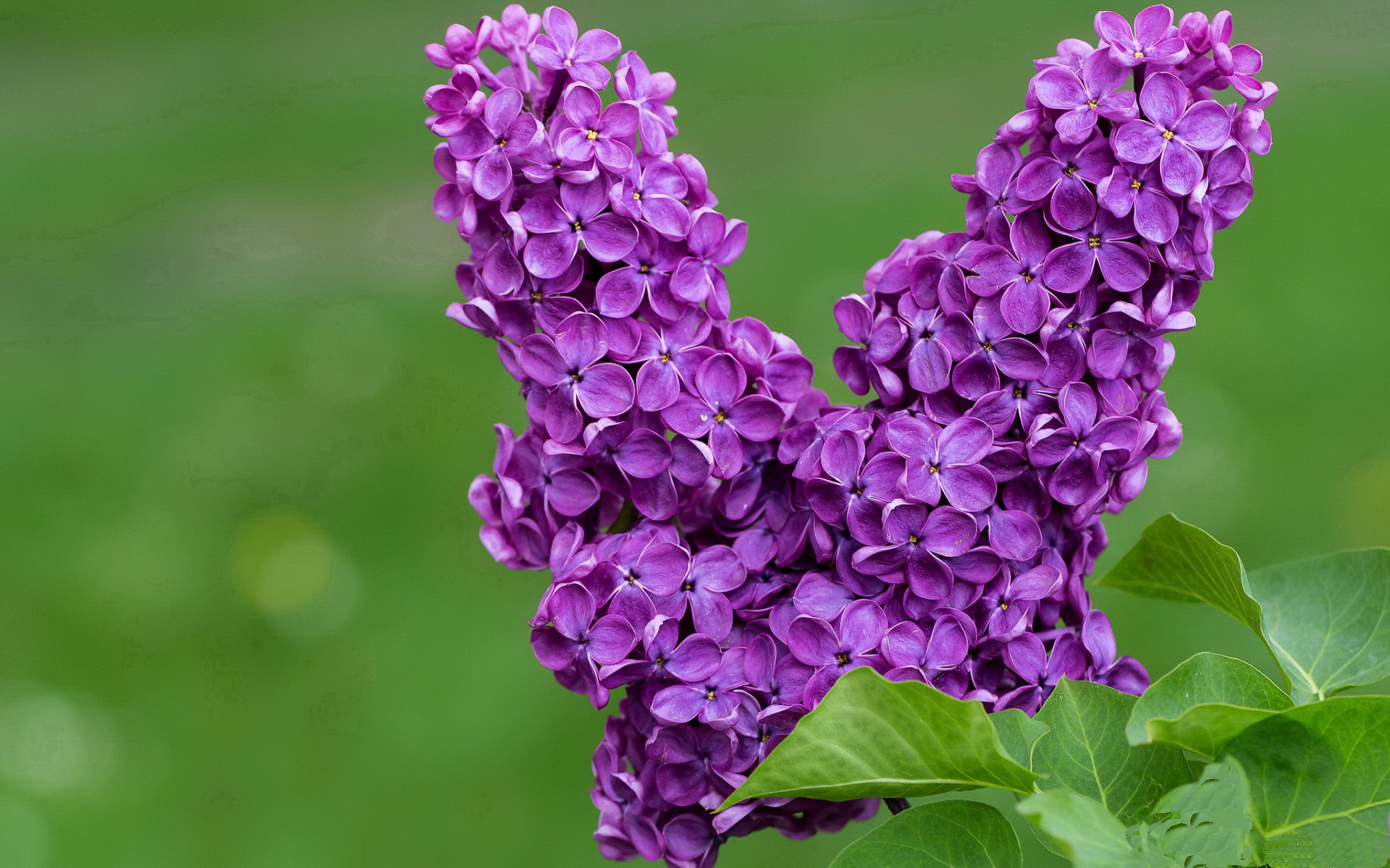 国家队爆冷世界杯 精彩表现值得铭记,国家队爆冷世界杯 精彩表现值得铭记吗
