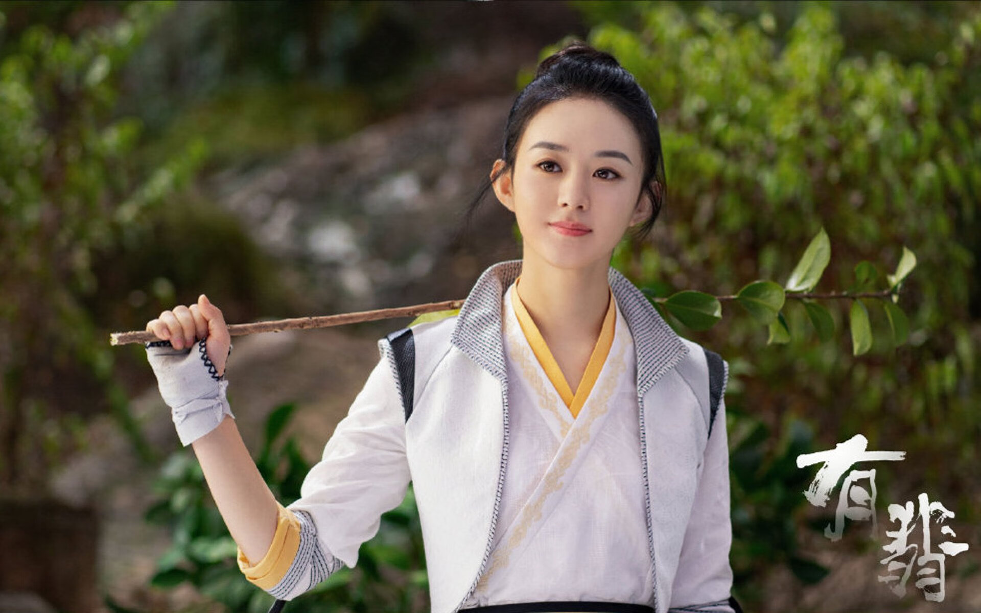 波兰队赛制解析:如何通过灵活的阵容布置提高比赛优势,波兰队 阵容