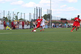 特色足球运动场设计结合智慧城市理念，实现多功能利用，趣味足球场设计