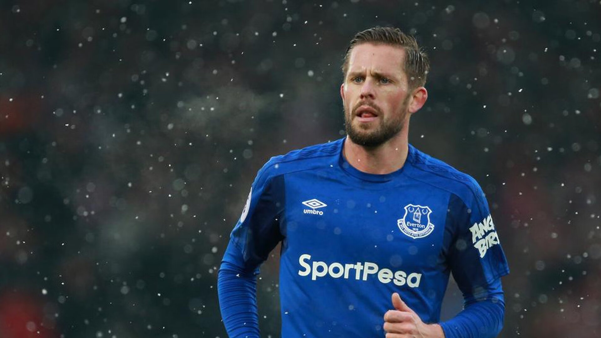 项目分布均衡，强项尚未完全暴露，项目分布情况是什么